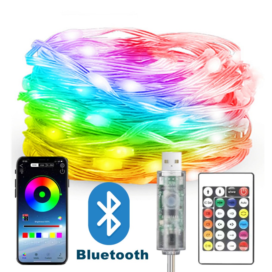 Led Fairy String Lights - WS2812B LED ライトストリングスマート Bluetooth リモコン RGBIC