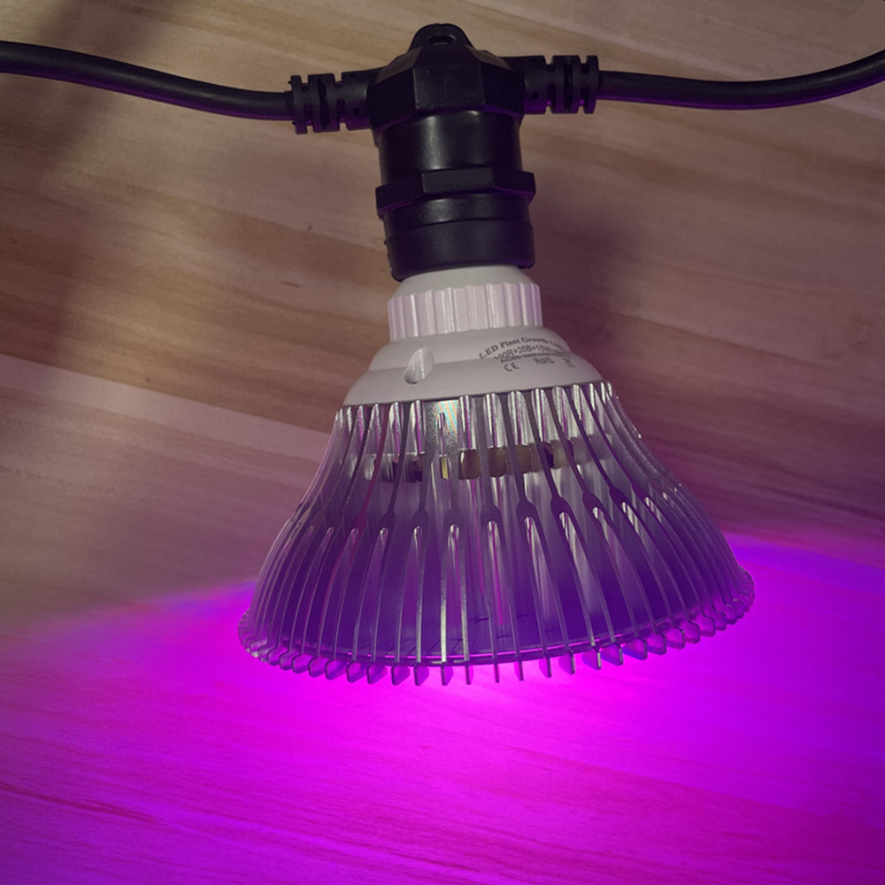 10 メートルケーブル LED ストリング商用グレード防水  - Led Fairy String Lights のレビューと価格